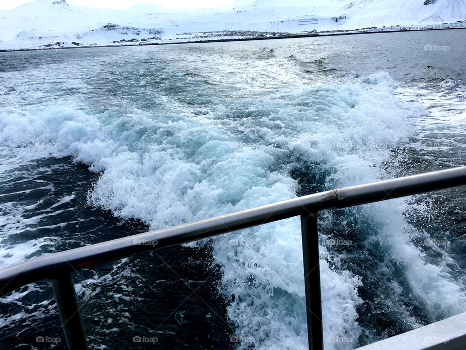 Icelandic boat trip