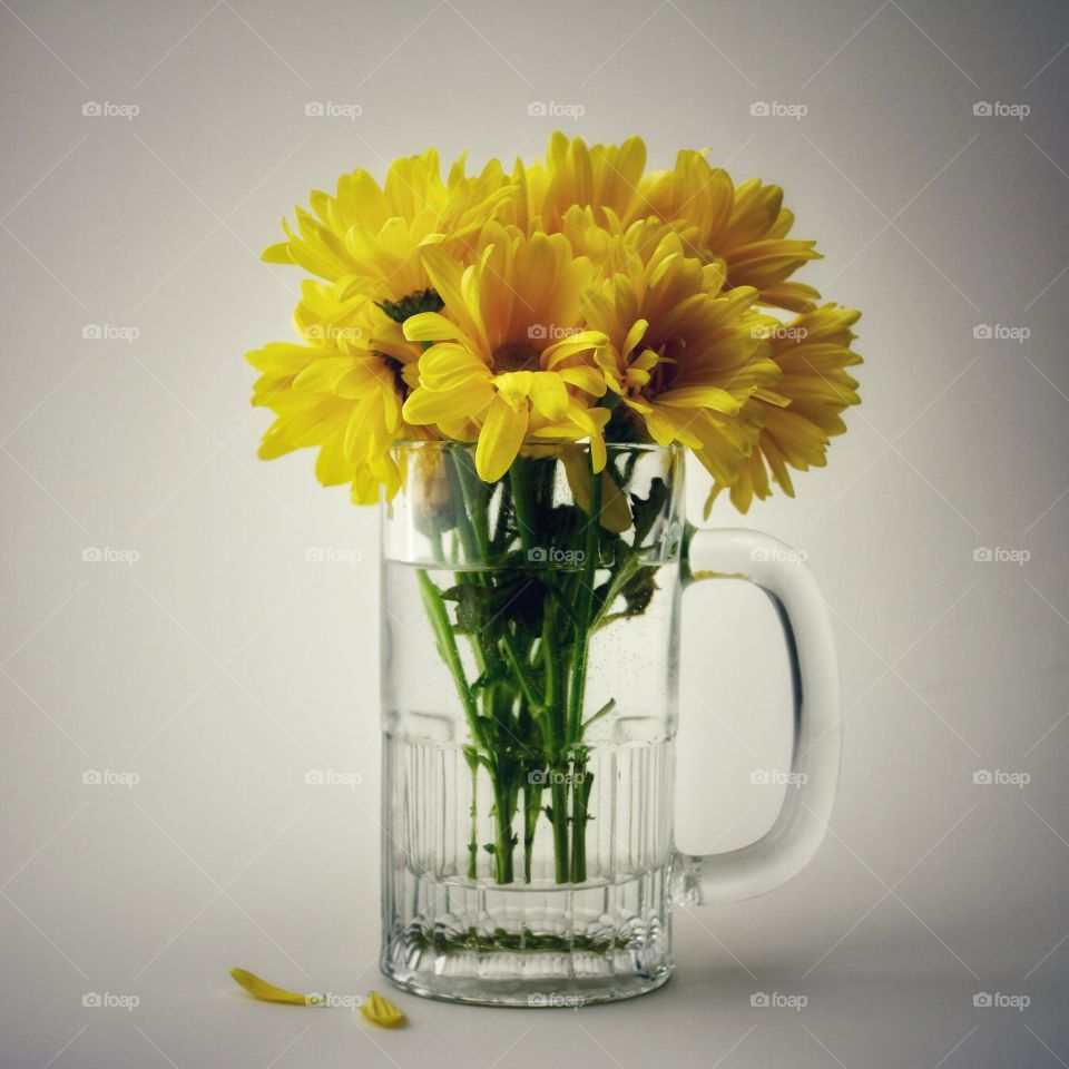 Flowers in a mug