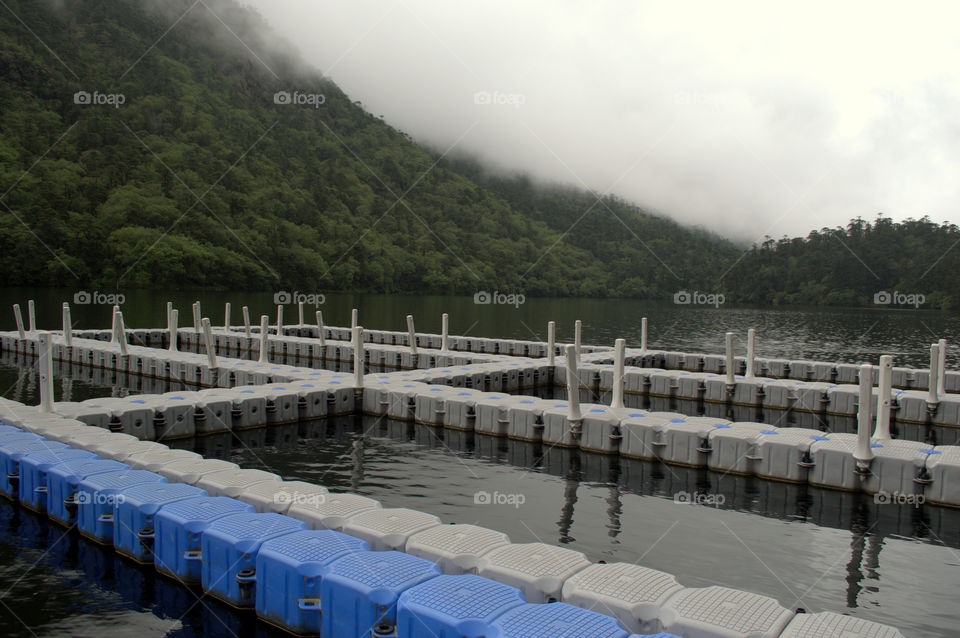 fish nursery