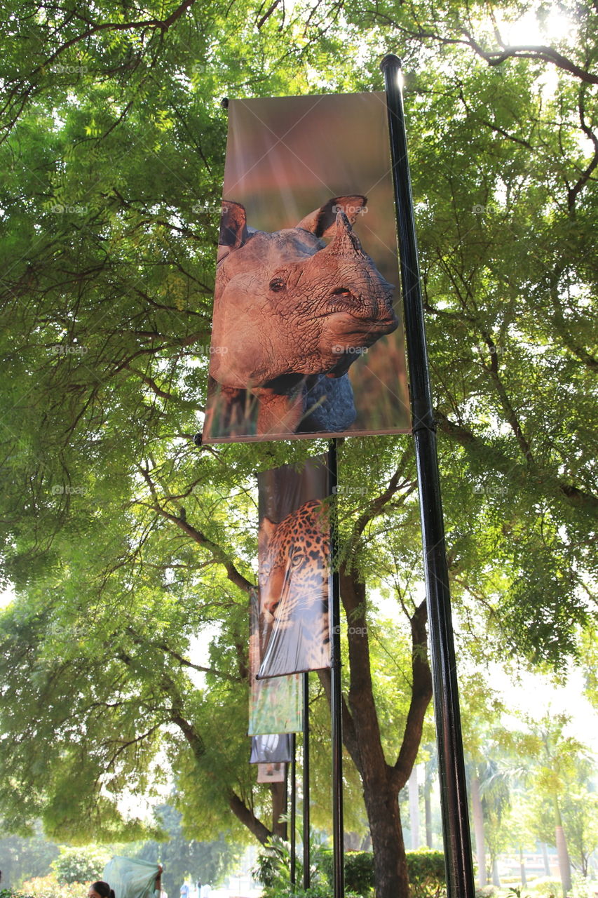 National Zoological Park in Delhi