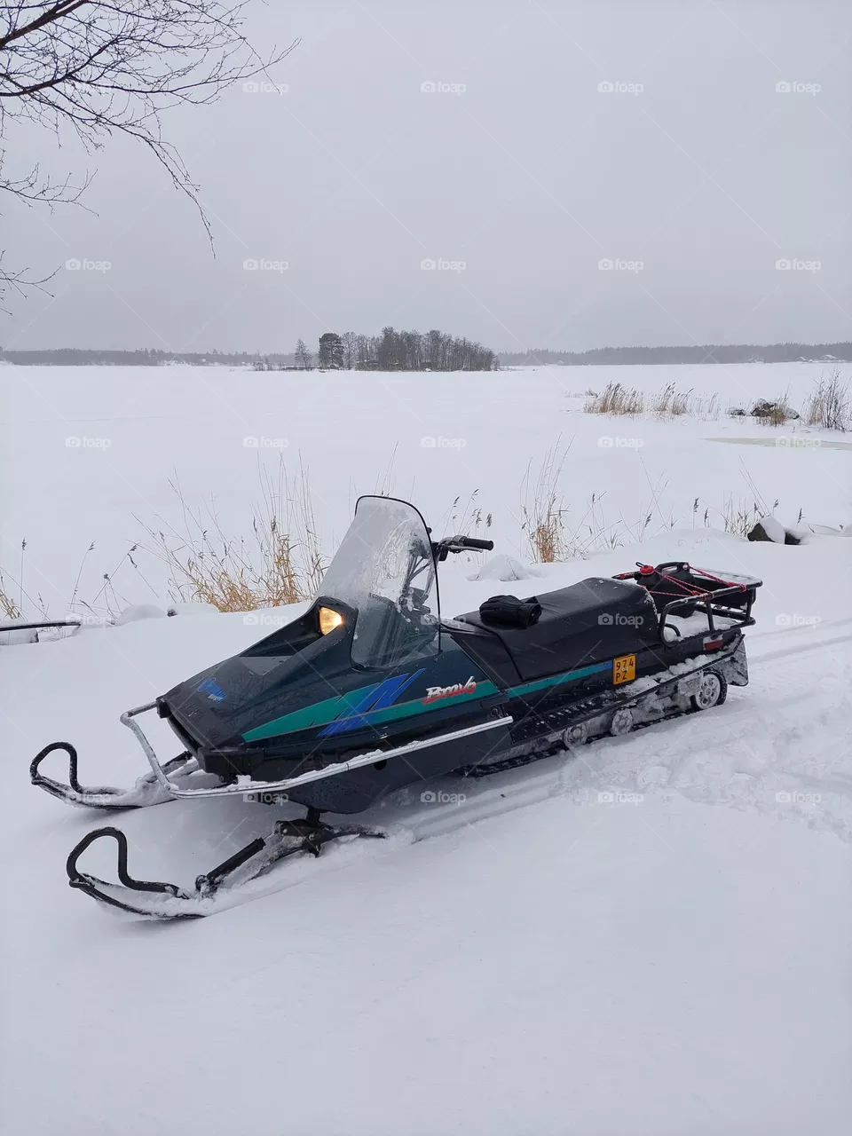 Yamaha bravo