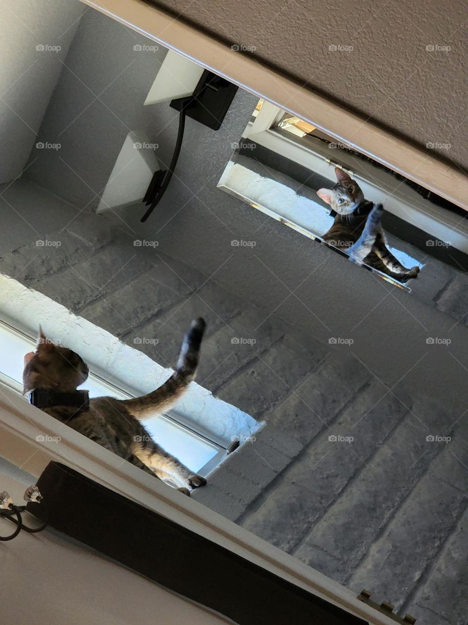 looking through the mirror