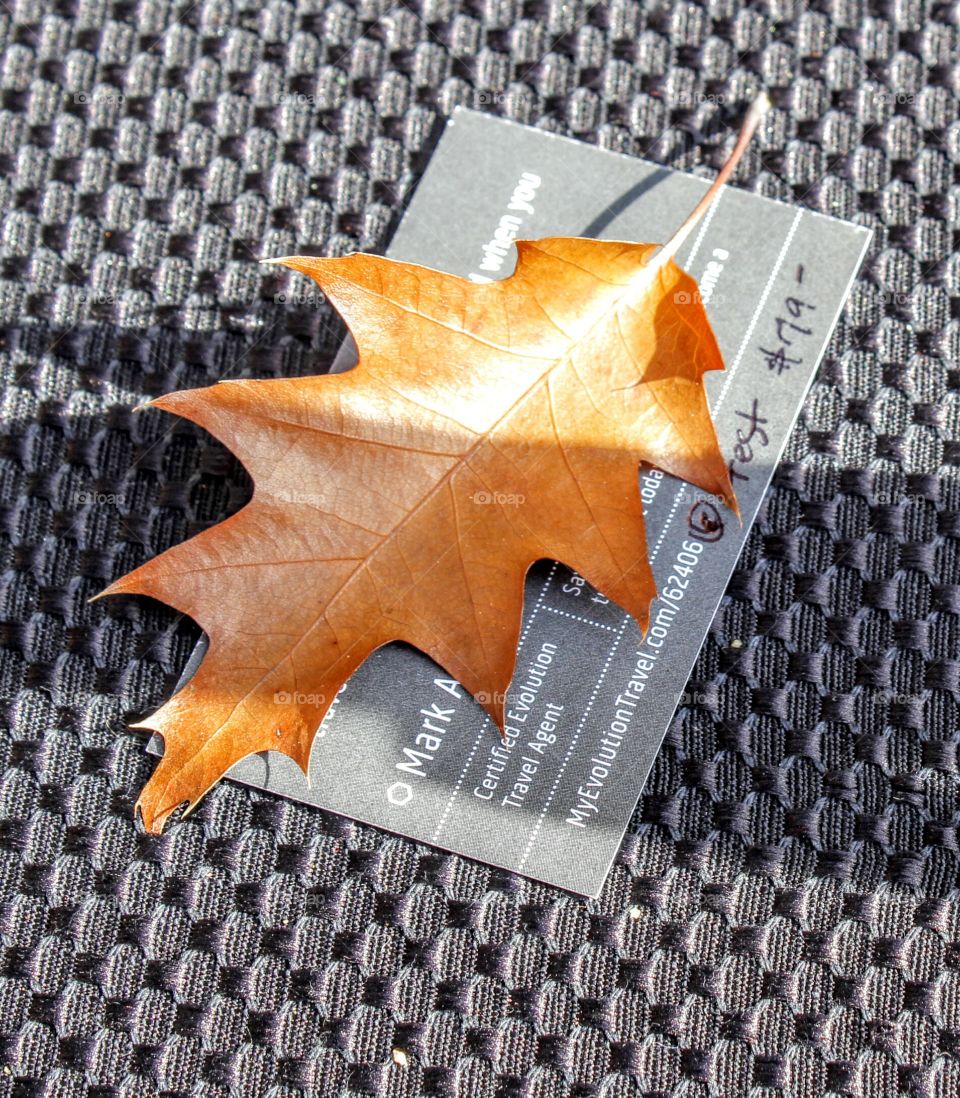 leaf on a business card