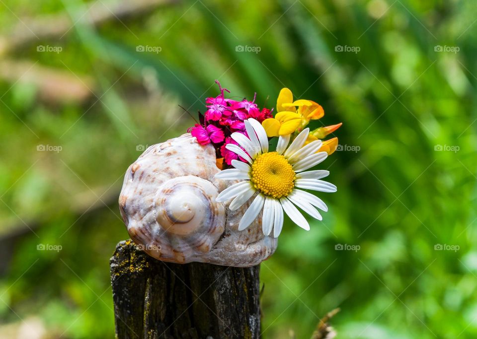 Beautiful spring Still life