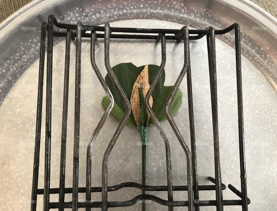 There is no waste in this world. Look around yourself! Making a craft is fun. My craft 😊