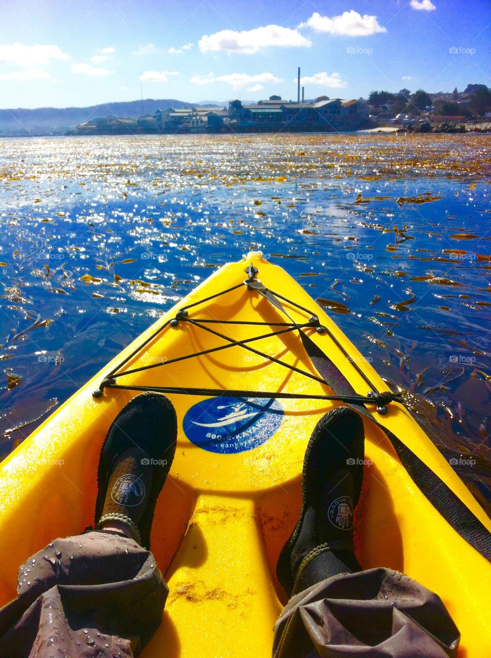 Kayak 