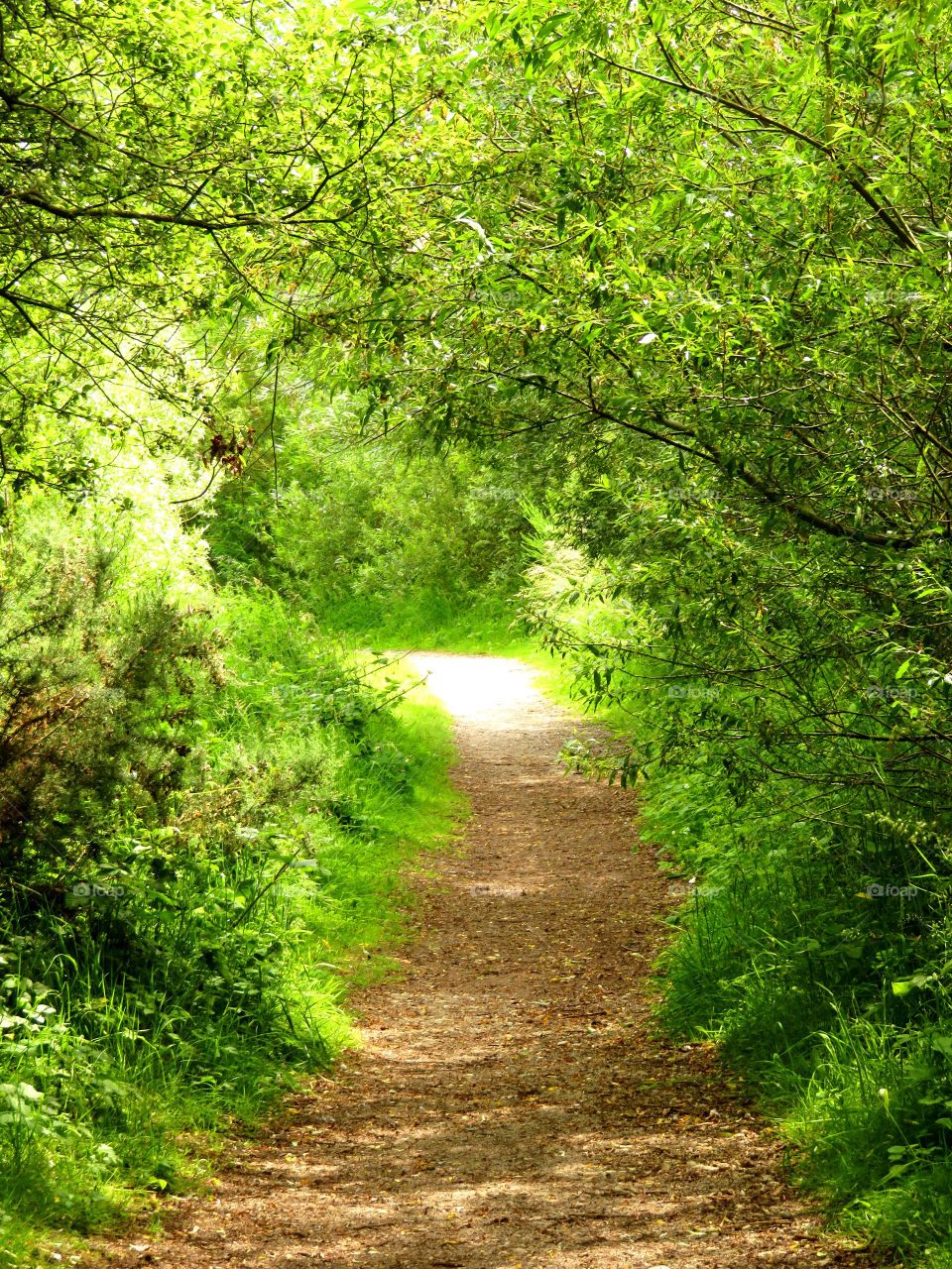 green arch