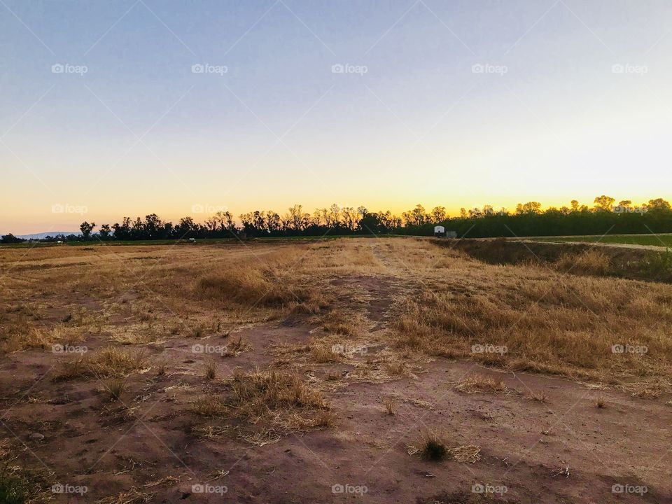 The peaceful sunset in the farm, With the golden lights Reflections helps everyone at peace. 