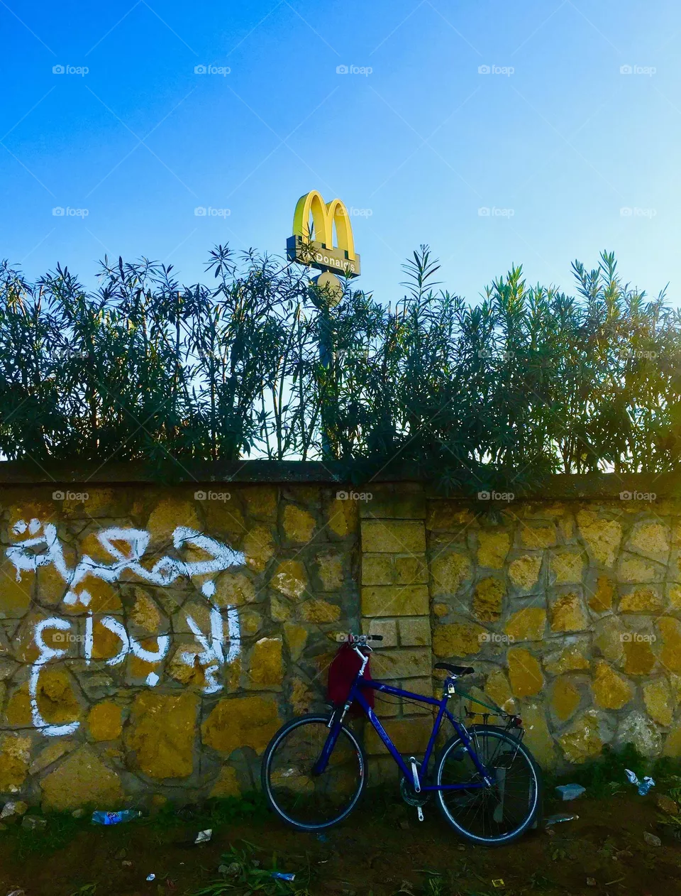 Macdonald Photo 