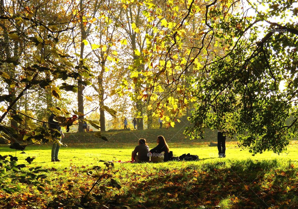 enjoying an autumn afternoon in the park