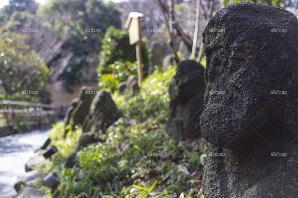 I see that Spring is coming