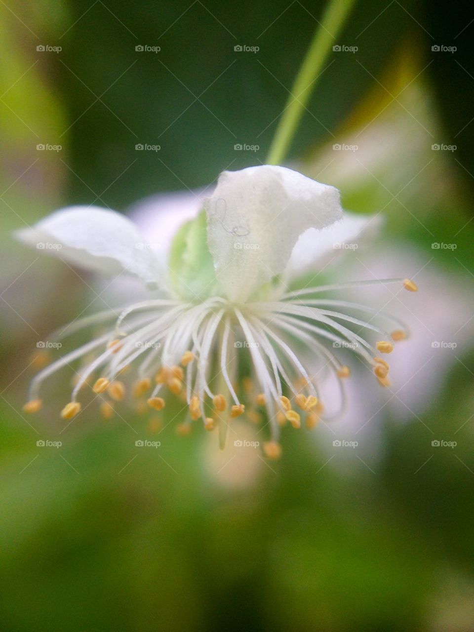 Mini flower