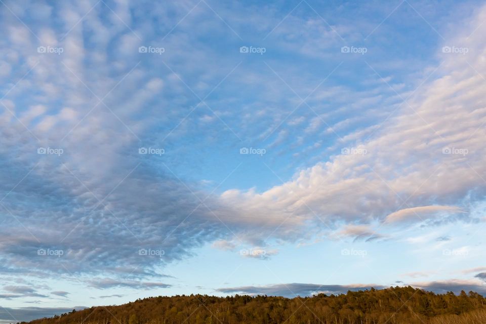 Cloud formation looking like wings in the blue sky over the forest 