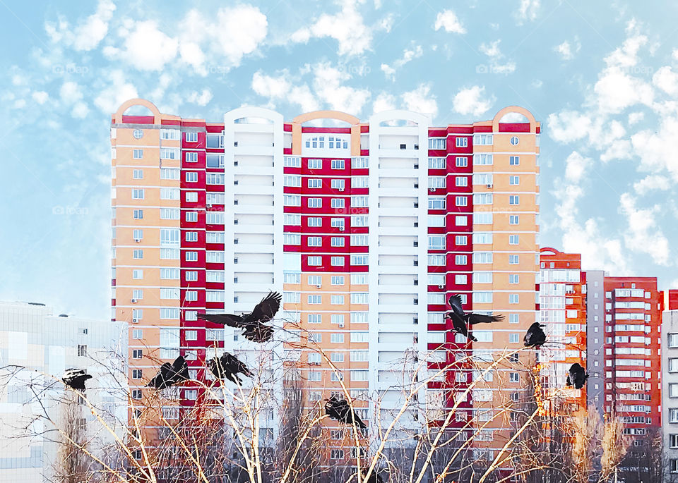 Birds flying over the trees in front of colorful modern building in the city on blue cloudy sky background 