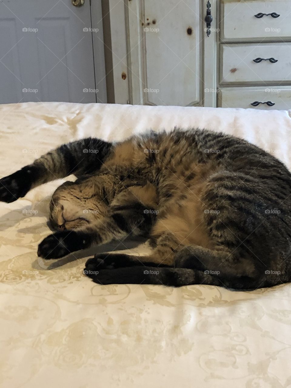 A beautiful brown tabby cat stretching herself across the bed. 