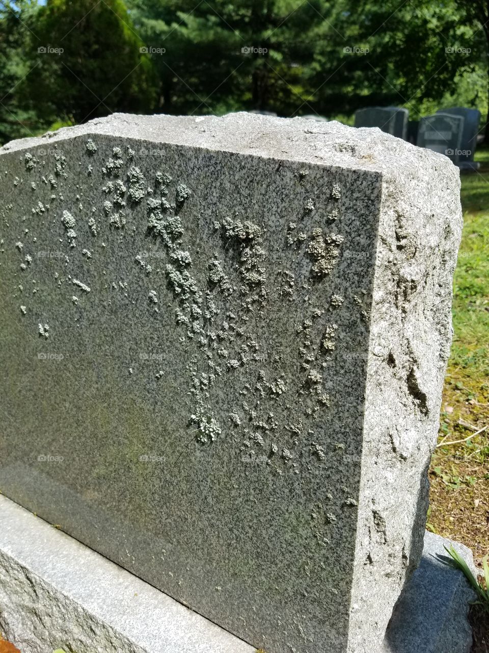 lichen on a gravestone