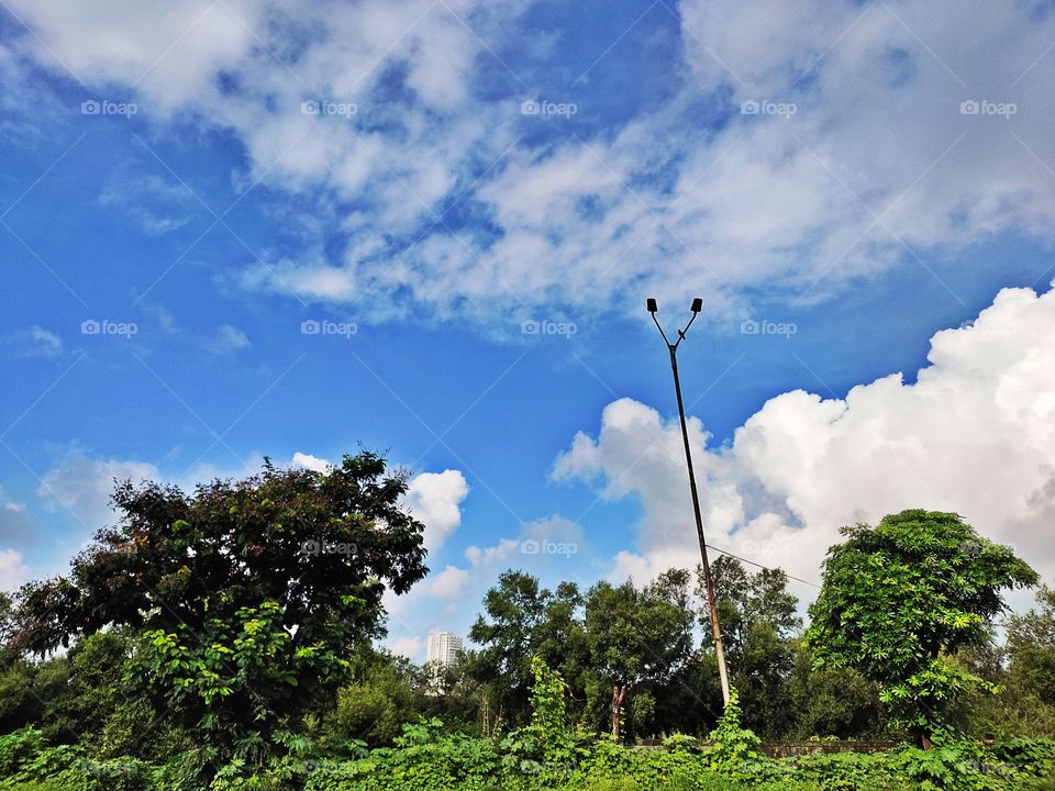 Cloudy weather☔☁️
👁️👁️📷👁️
Amazing Flora🌱🍀🍀
Electric pole