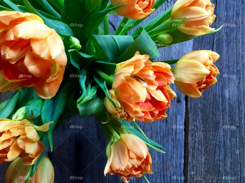 Tulips & Barnwood