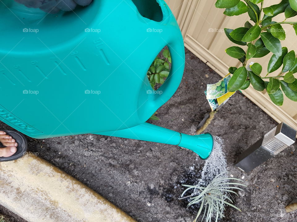 green watering can