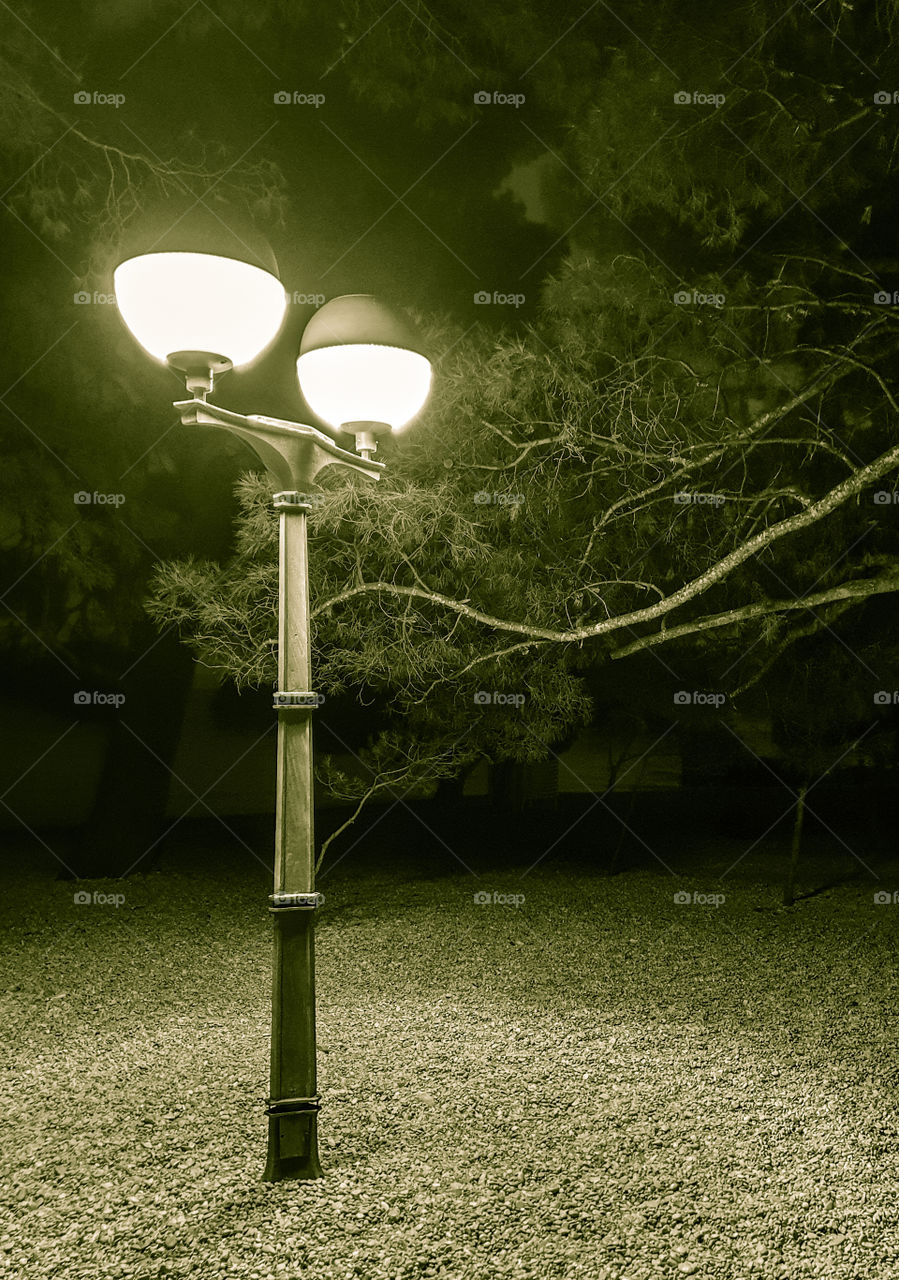 Lantern, street lamp under the pine trees illuminating the pebble beach at night