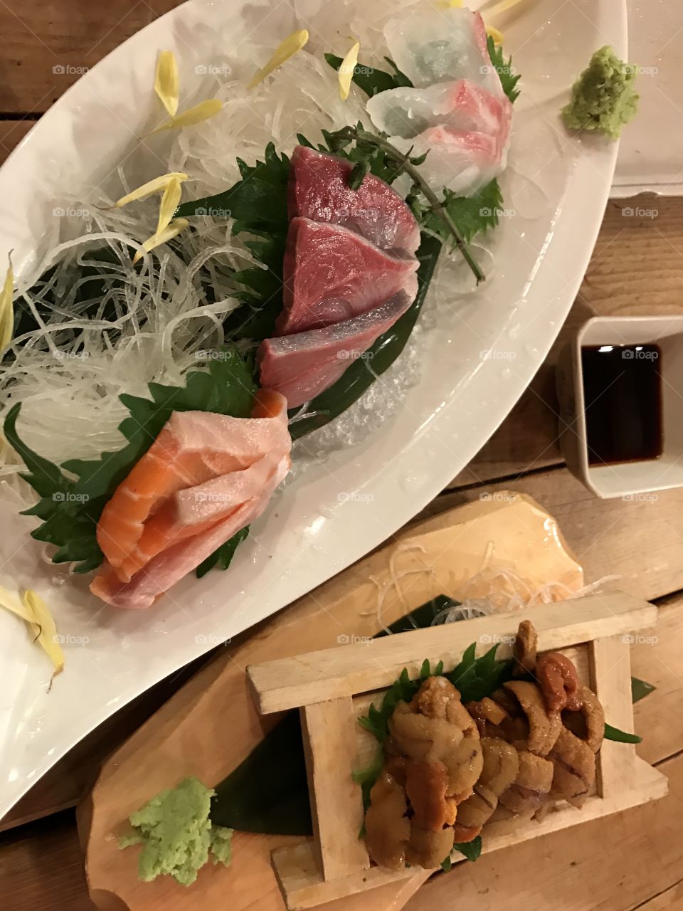 Sashimi and sea origins at Japanese restaurant 