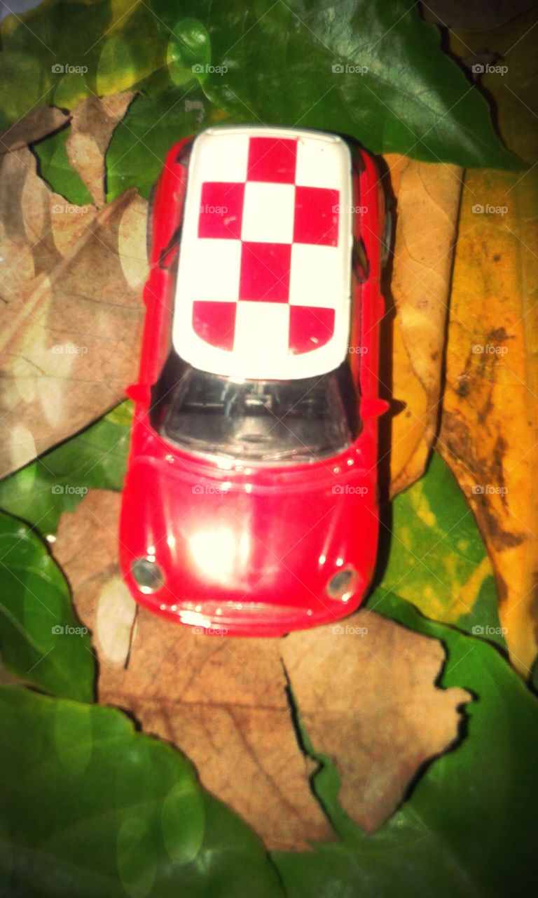 Red car toy  on leaves