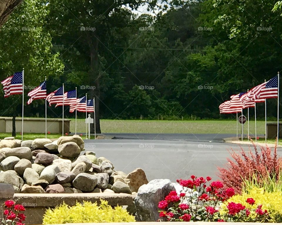 American flags lining the drive at the veterans memorial park in Delaware 