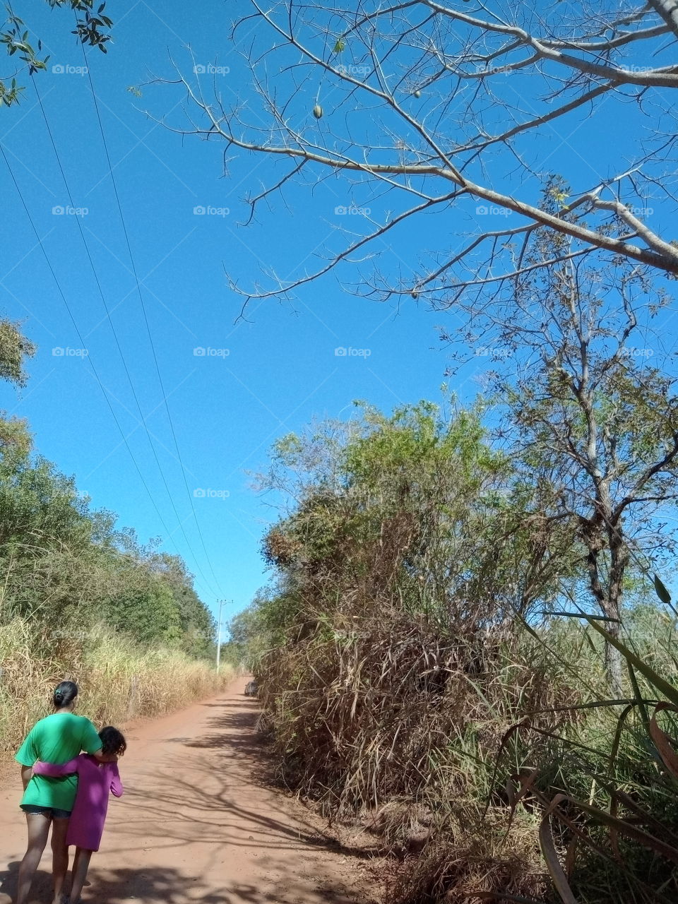 A Natureza e seus encantos