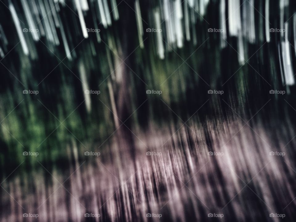 forest blur