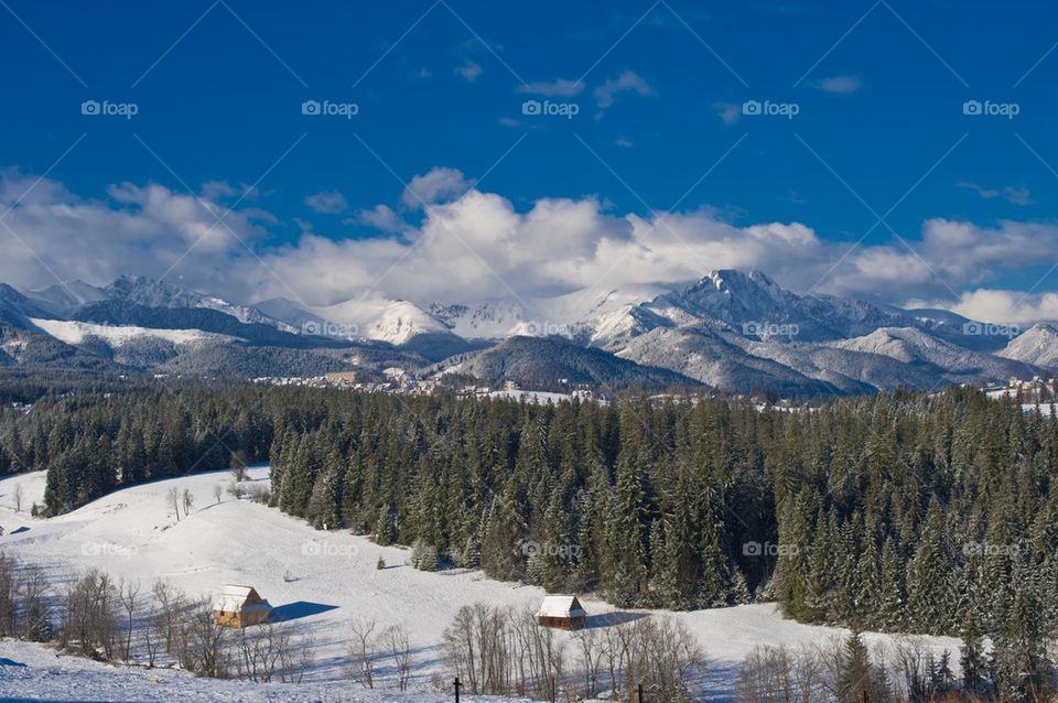 Scenic view of zakopane