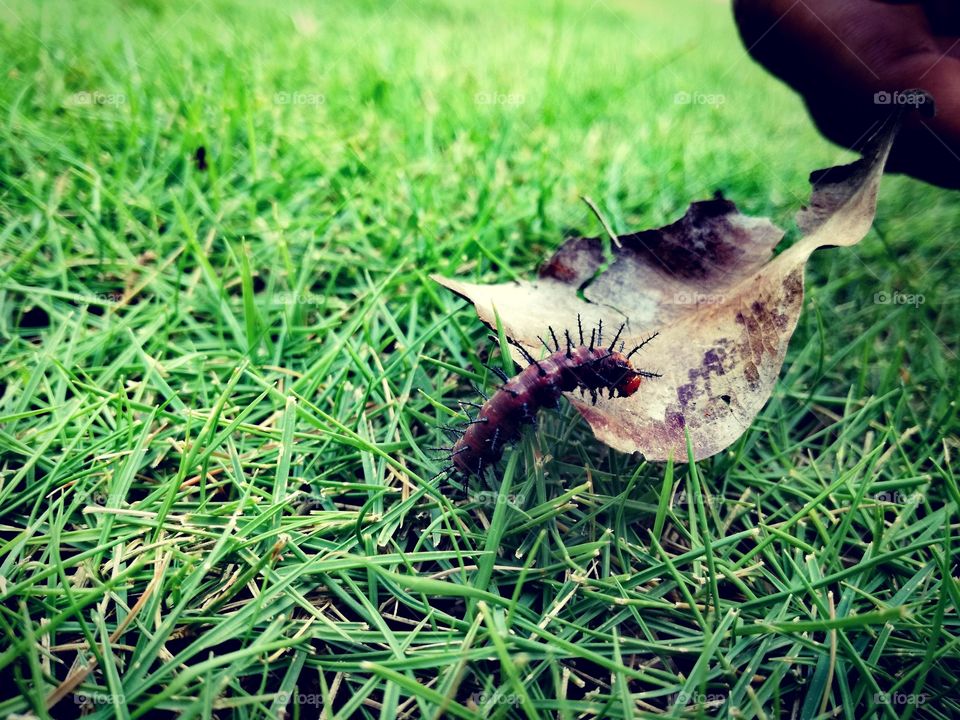 how would you like this photo