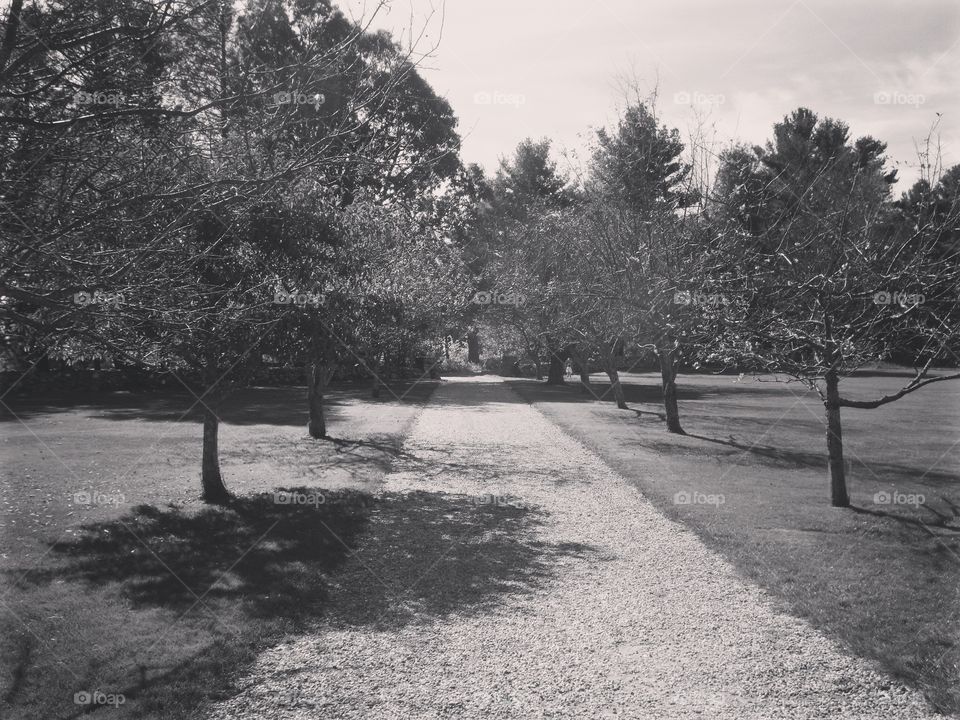 Black and White Path