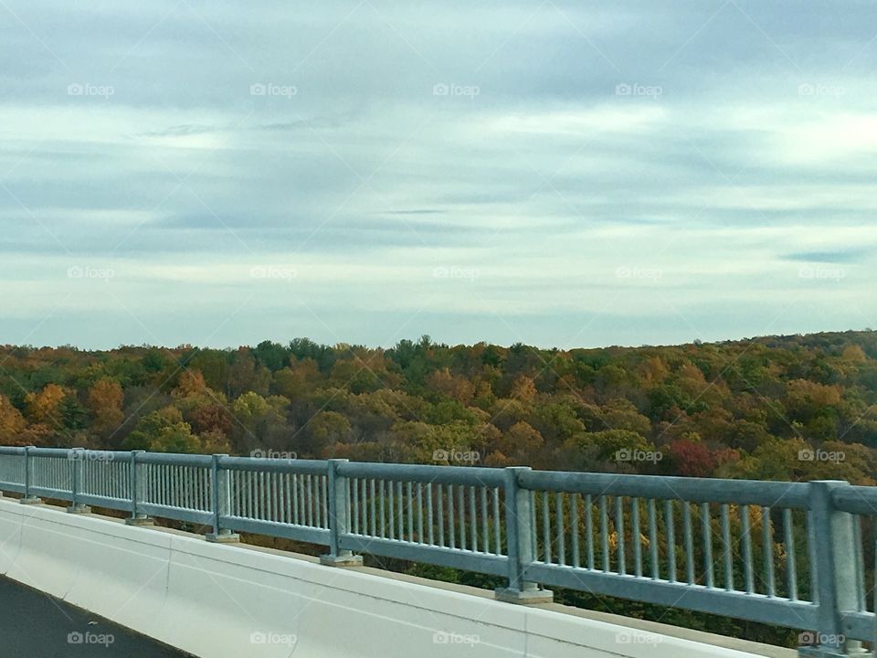 Coming off the Rhinebeck bridge over the trees 