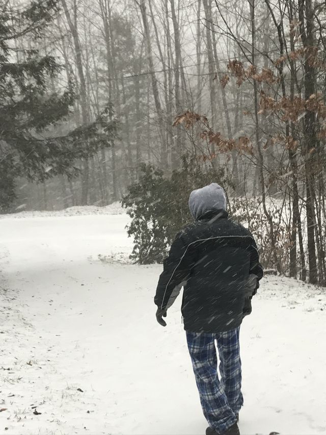 Walking in the woods