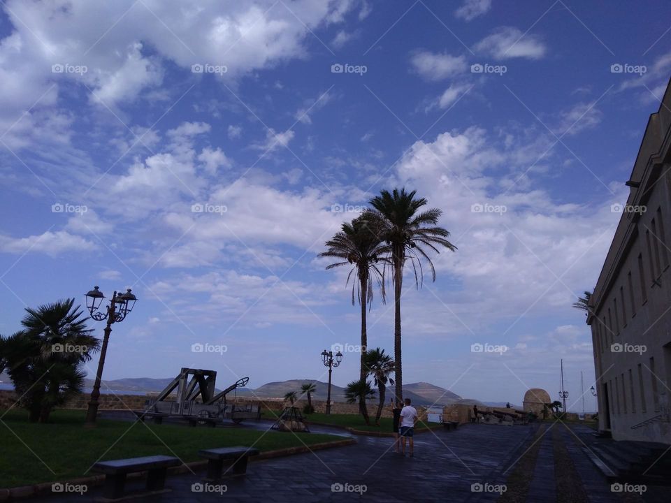 Best of 2021: Nature