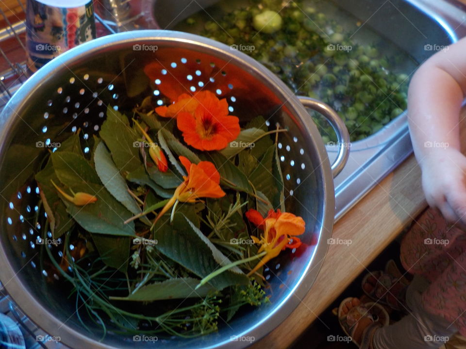 Herb infused pickling in process 