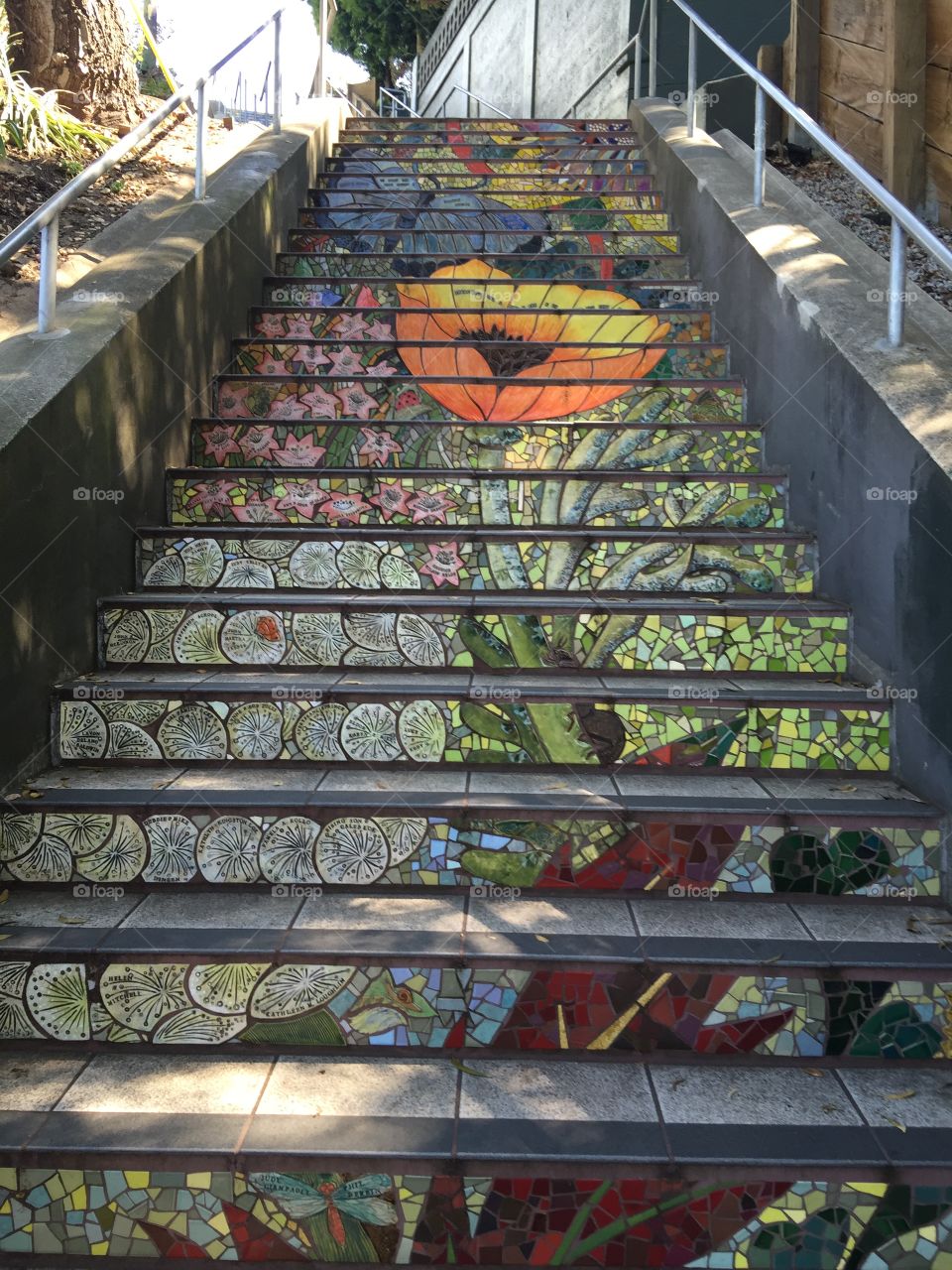 16th avenue and moraga mosaic tile
San Francisco, California 