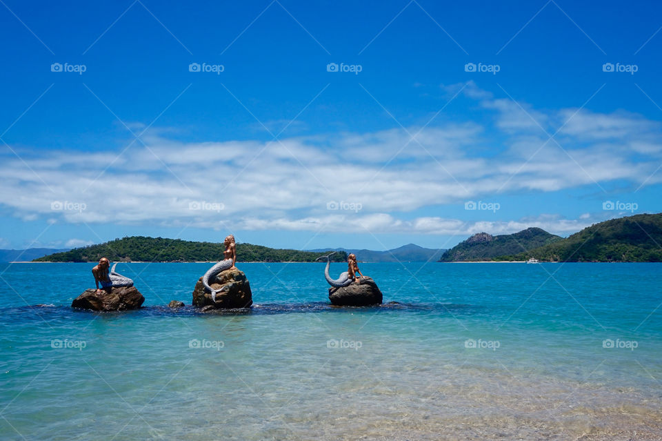 Daydream Island Mermaids 