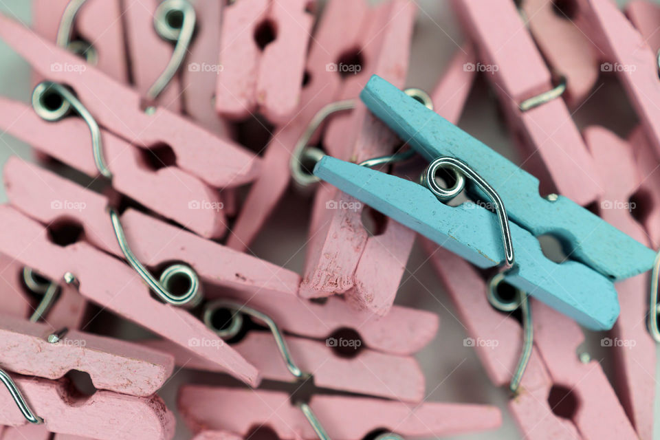 Pink and blue clothes peg
