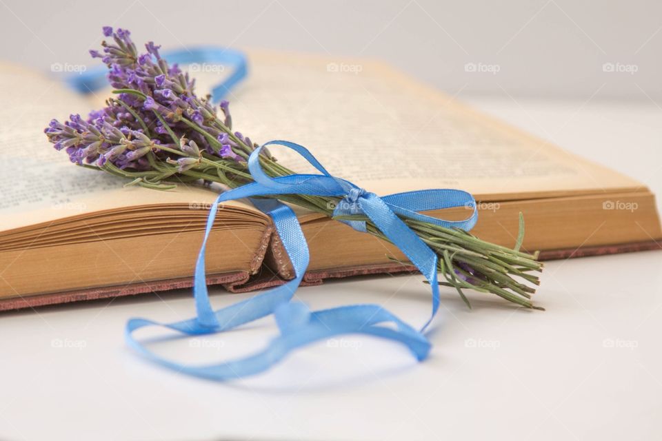open book with sprigs of lavender