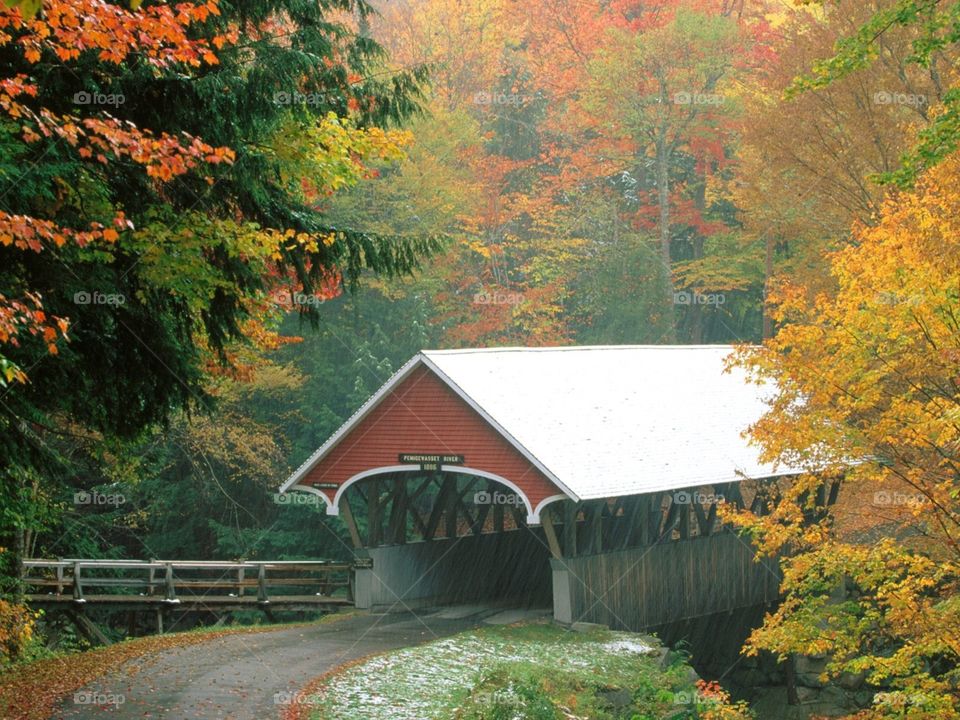 Old Covered Bridge 