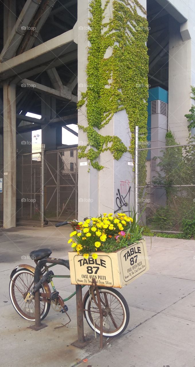 Bike on the Street Brooklyn