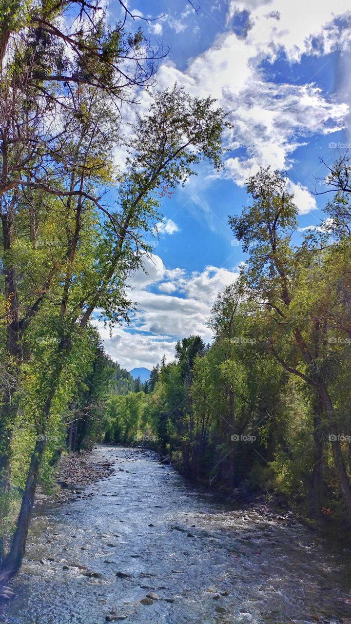 The Crystal River flows through the early autumn splendor, below Chair Mtn in the distance.
