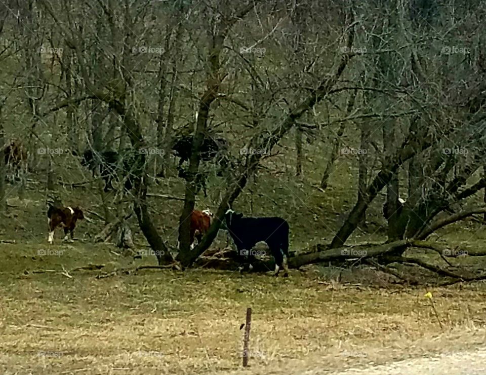 Driving the back Roads