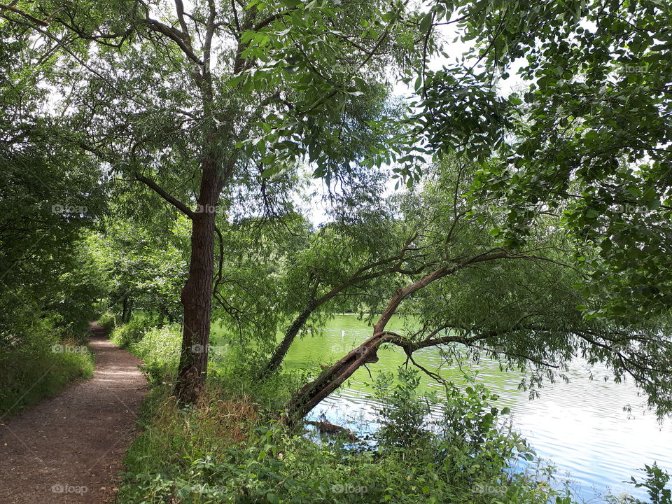 Beside The Lake