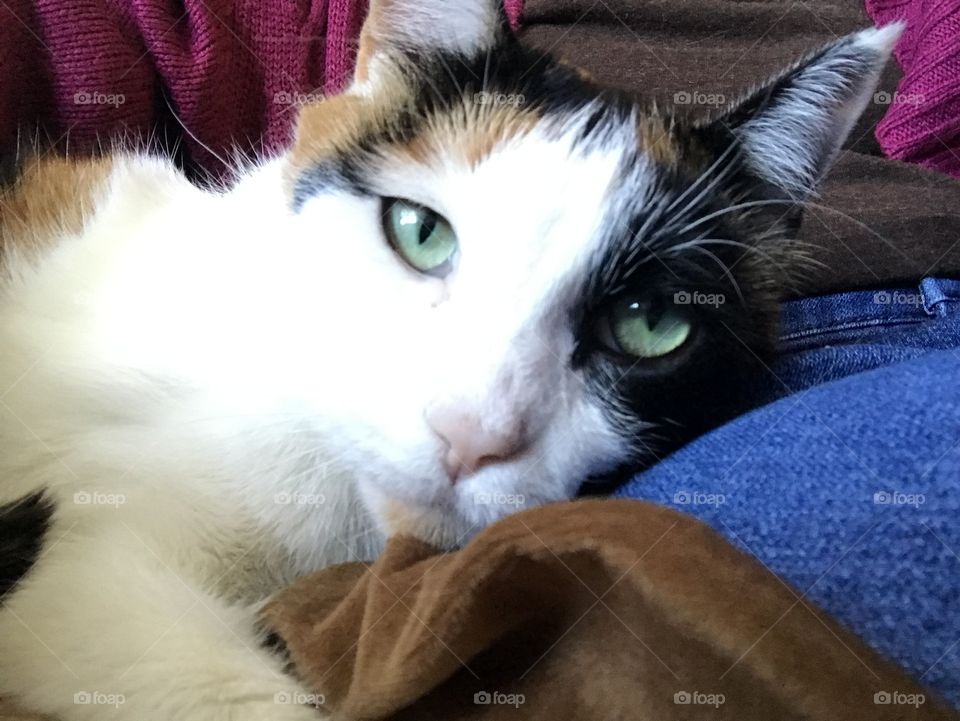 Up close and personal 