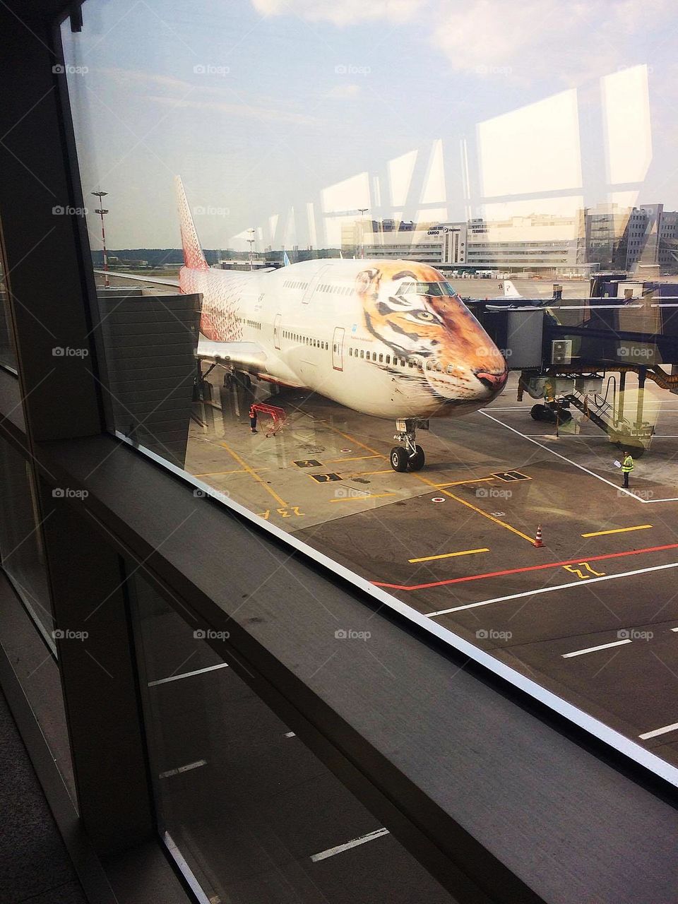 Plane with a drawing of tiger in airport