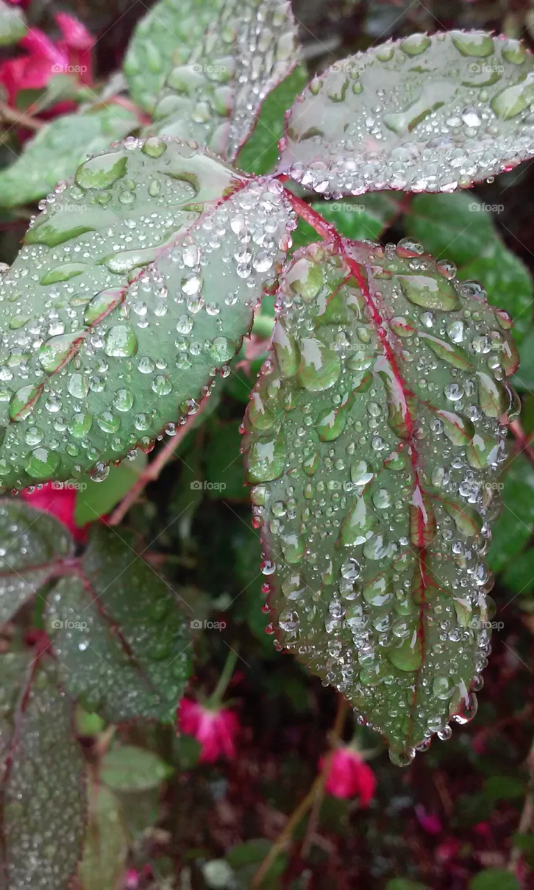 raining