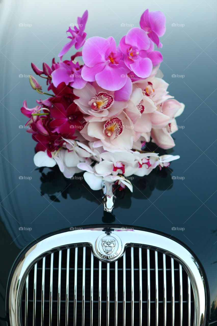 Jaguar luxury coupe car and flowers on hood