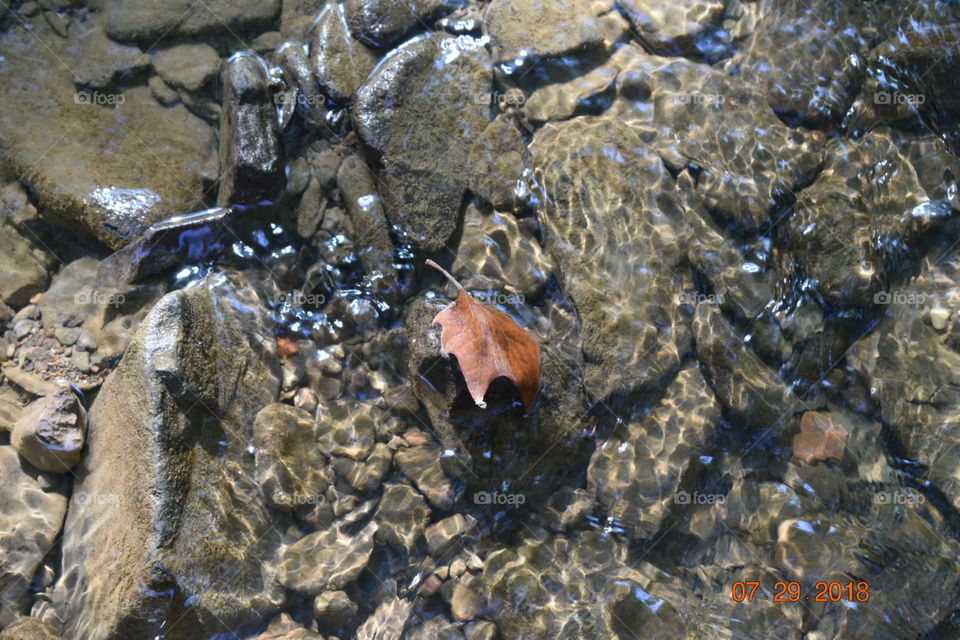 A close up of a single leaf resting precariously on a rock to show the natural beauty nature holds that even an artist can sometimes fail to represent. 